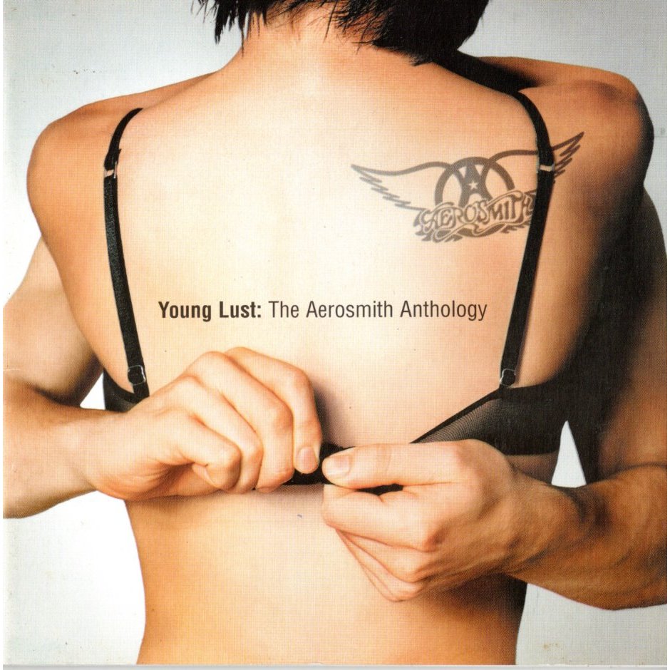 CD Aerosmith Young Lust: The Aerosmith Anthology - CD Duplo