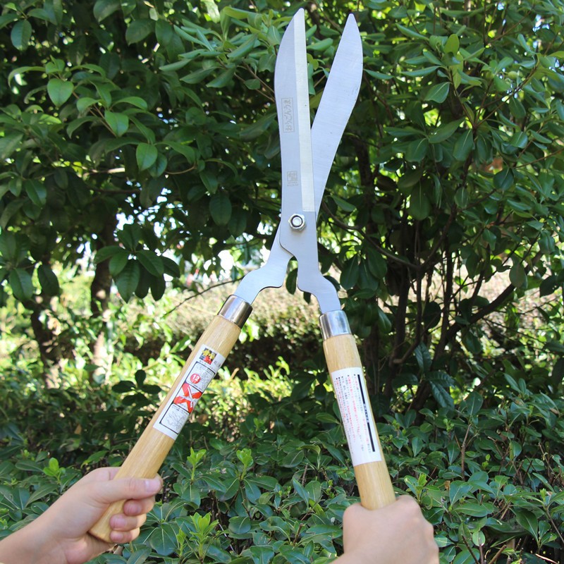 Tesoura de Poda Grama Jardim Oferta Cerca-viva Tesourão Jardinagem