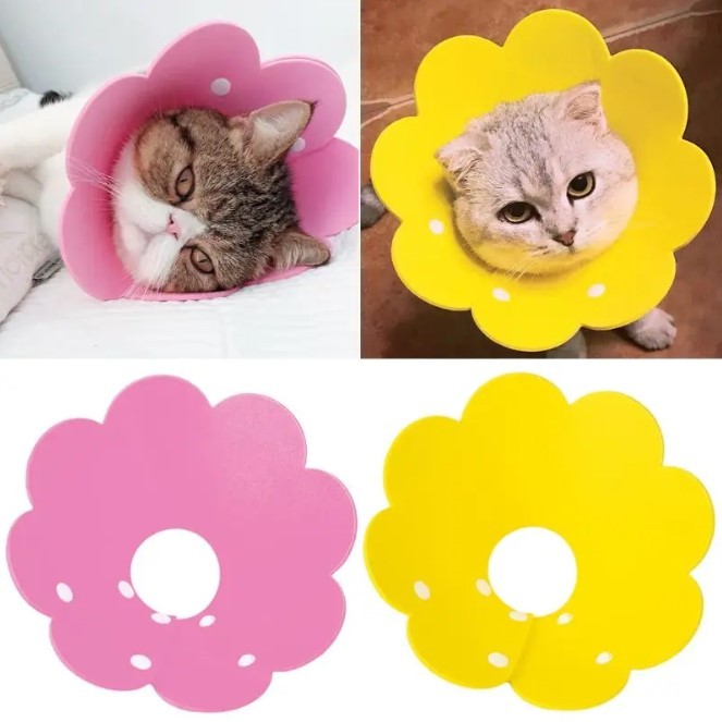 Colar Elizabetano Flor Ajustável Anti-Lambida e Anti-Mordida Segurança Pet Pequeno Médio Porte LR-0309