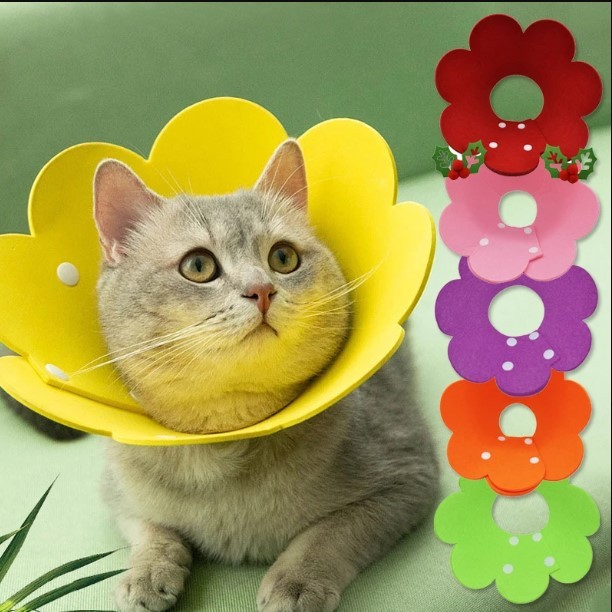 Colar Elizabetano Formato Flor Ajustável Anti-Lambida e Anti-Mordida Segurança Pet
