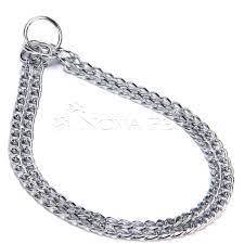 Cão São Bernardo: Onde Comprar | BuscaProdutos