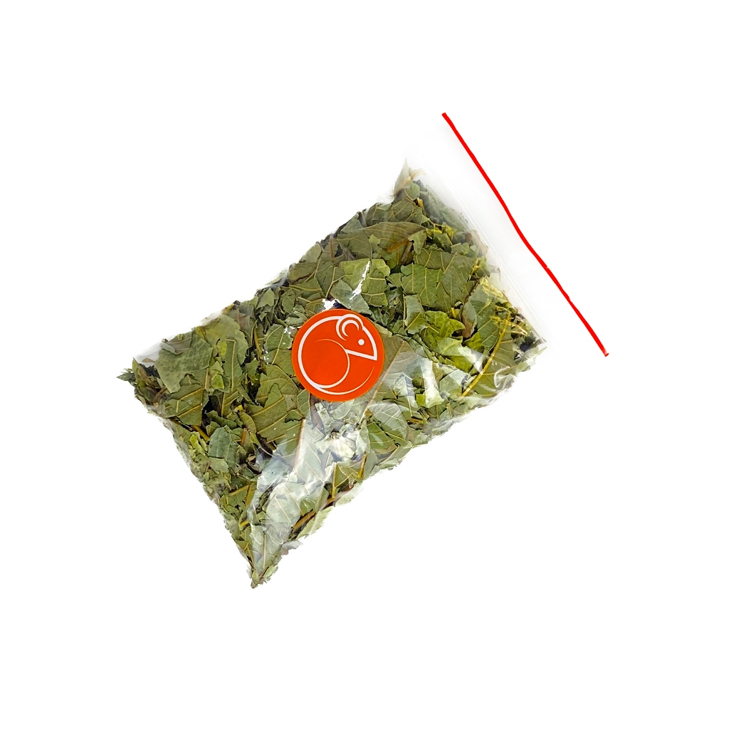 Folhas de Goiabeira para Hamster Gerbil Twister Roedores Pássaros em Oferta na Shopee