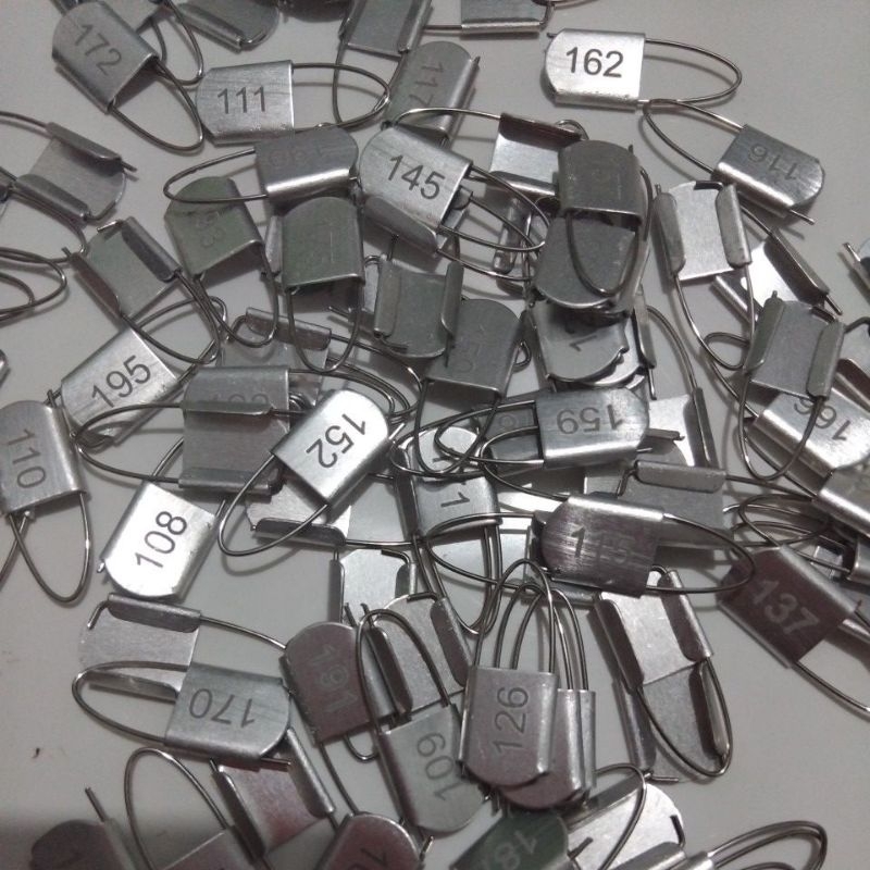 Asa de Galinha: Guia Completo e Onde Comprar | BuscaProdutos