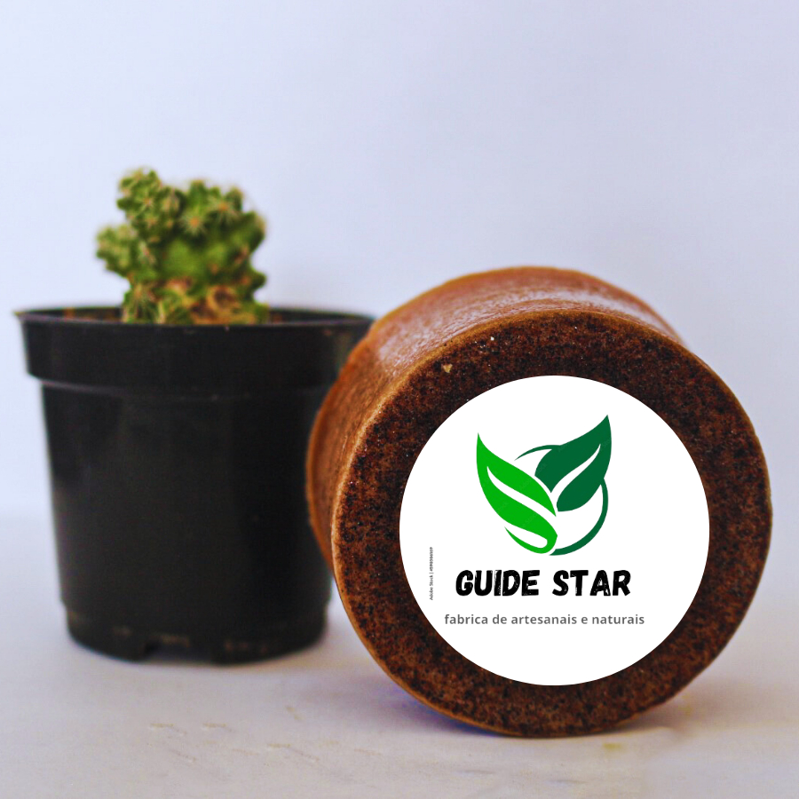 Sabonete Intimo Barbatimão e Aloe Vera, Artesanal - Natural Fitoterápico 90gr em Oferta na Shopee