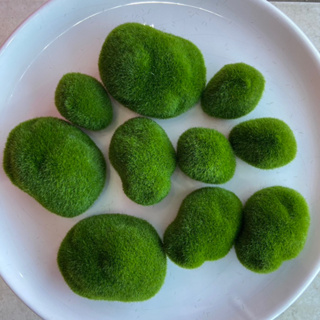 Pedras de Musgo Artificial Versátil Realista Verde Grama - Diversos Tamanhos em Oferta na Shopee