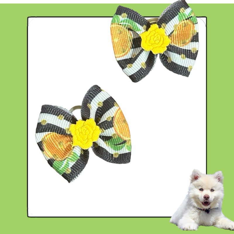 100 Lacinhos Para Pet Shop - Edição Luxo tamanho M - Laço para  cachorro gato pet fêmea.