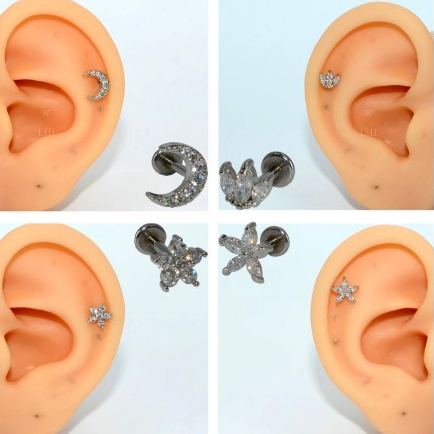 Piercing Labret Aço Inoxidável Brincos Tragus Dália Pinton Auricular — imagem 2 de 2
