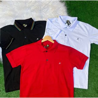 Kit 3 Camiseta Polo Masculina 100% Algodão Lisa Camisa Tamanho P ao GG em Oferta na Shopee