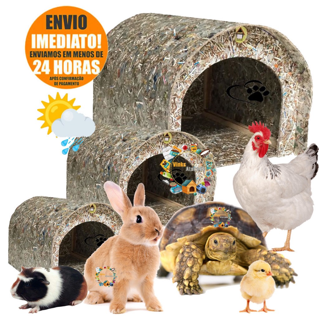 Toca Casinha Pet Para Jabuti Tartaruga Coelho Grande Porquinho da India Chichila Galinha Casa Ecológica Acessorios Coisas