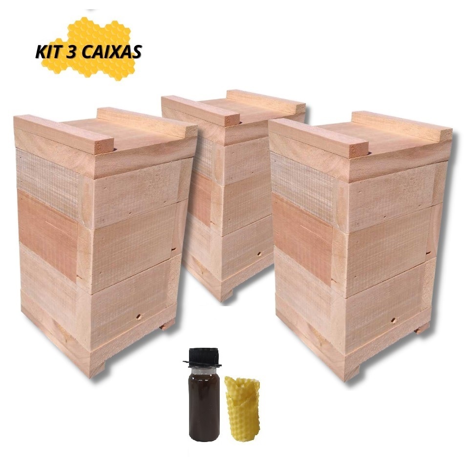 Kit 3 Caixas de Abelhas Jatai Mirim Asf Inpa Madeira Eucalipto Rosa 10x10cm Interno + Atrativo + Cera