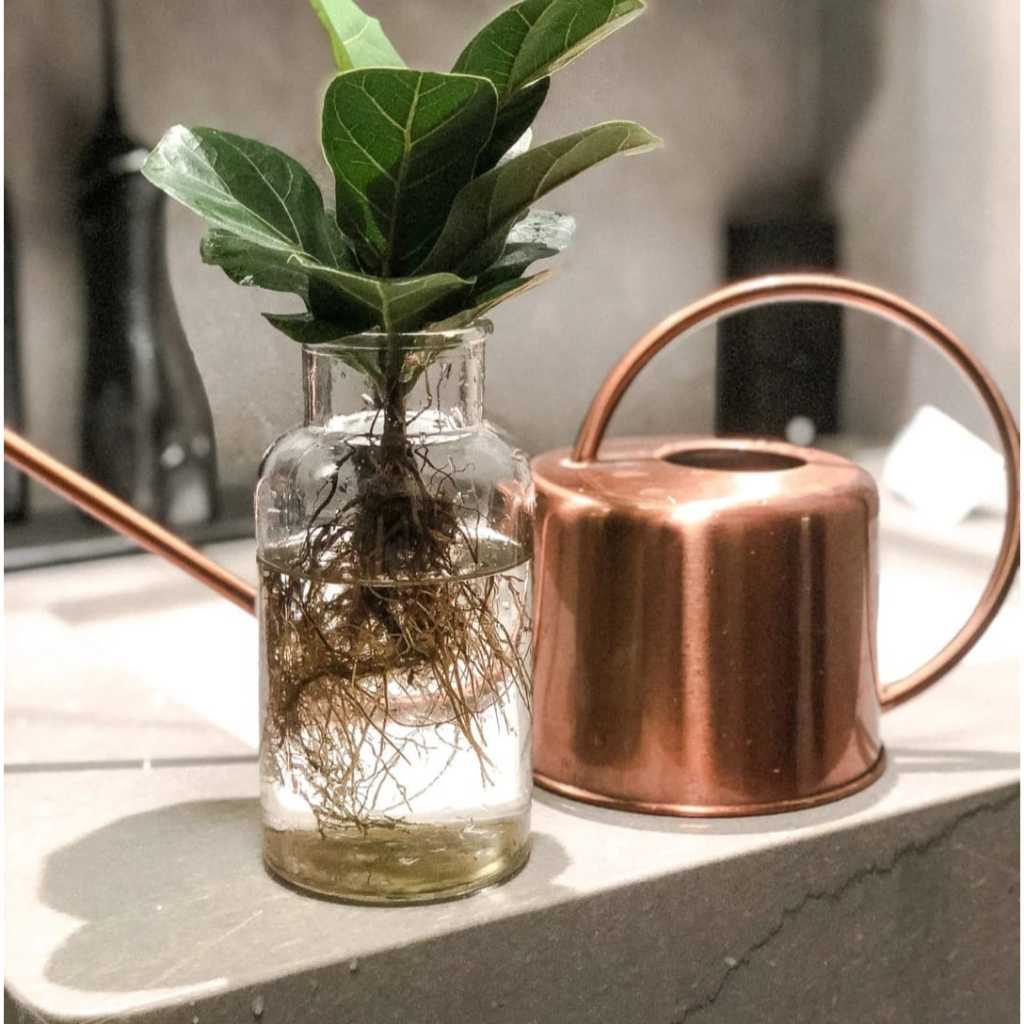 Regador 1.30 Litros Aço inoxidável Bico Longo Portátil Para Jardinagem Decoração Na Cor Cobre Boho em Oferta na Shopee