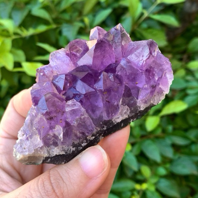 Mini Drusa de Ametista GG Pedras Brutas Naturais