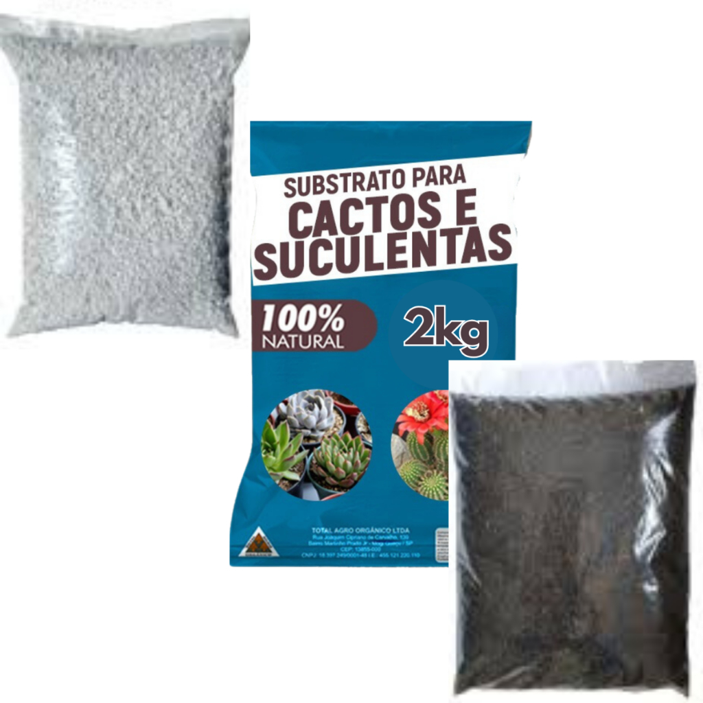 Kit Perlita + Casca de Arroz Carbonizada + Substrato Cactos e Suculentas