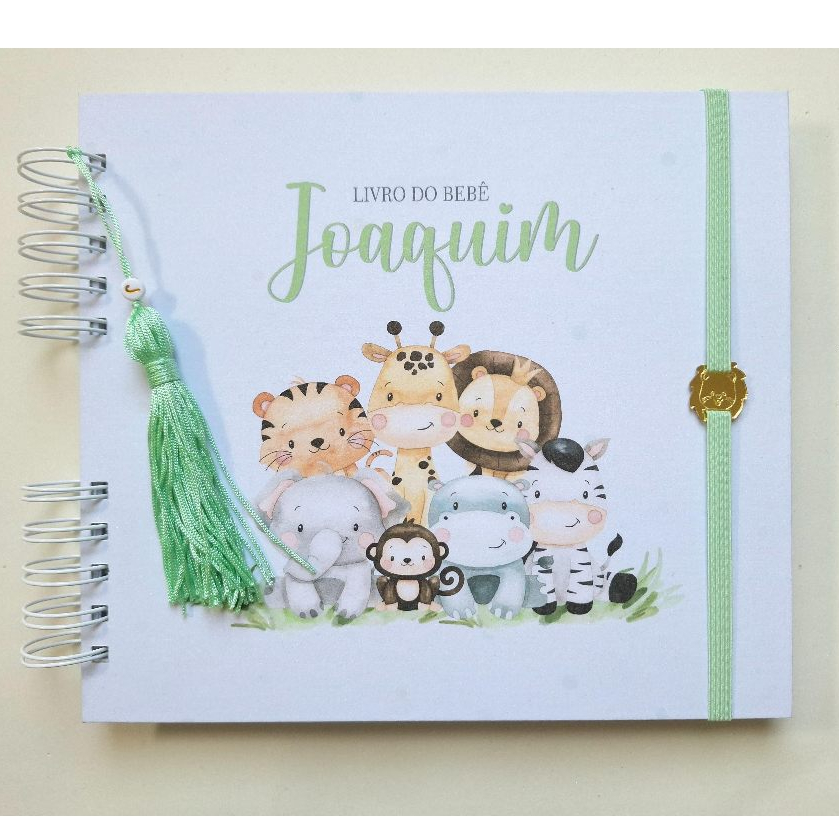 Livro do bebê - Safari menino VI