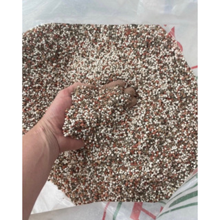 Adubo Fertilizantes 1/2/5/10 Kg para todos os tipos de plantas 10.10.10 flores/hortaliças/frutíferas em Oferta na Shopee