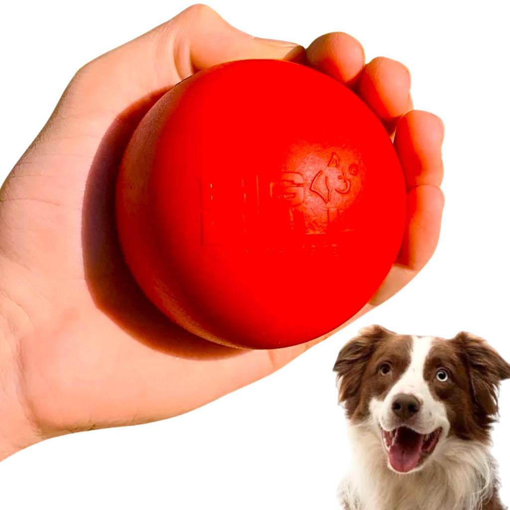 Brinquedos para Pastor Alemão: Onde Comprar | BuscaProdutos