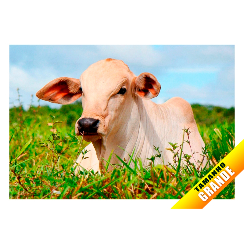Papel arroz Vaca Fazenda para BoloGrande  de 7kg 30x40cm com Foto