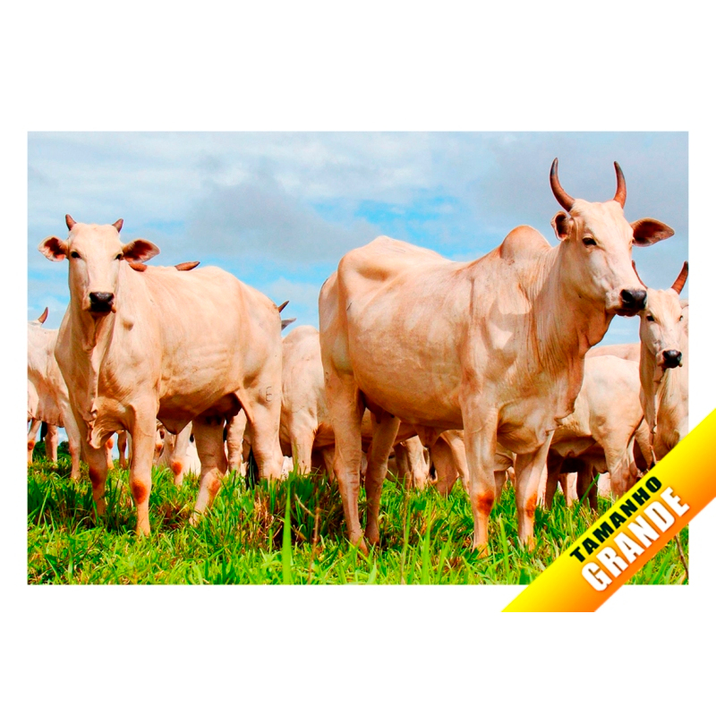 Papel arroz Fazenda de Gados Boi Vaca para bolo Grande de 7kg 30x40cm com Foto
