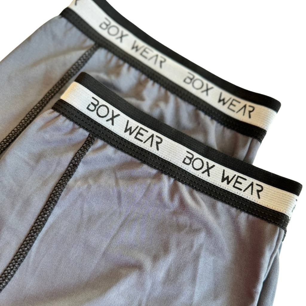Cueca Boxer Masculina Kit 4 Peças Microfibra Cueca Box Sem Costura Adulto Envio Imediato
