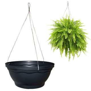 Vaso de Plástico Cuia 40 cm Para Plantas Grandes Rosa Do Deserto Samambaia Preto + Cabo De Aço 60cm - Vida Verde