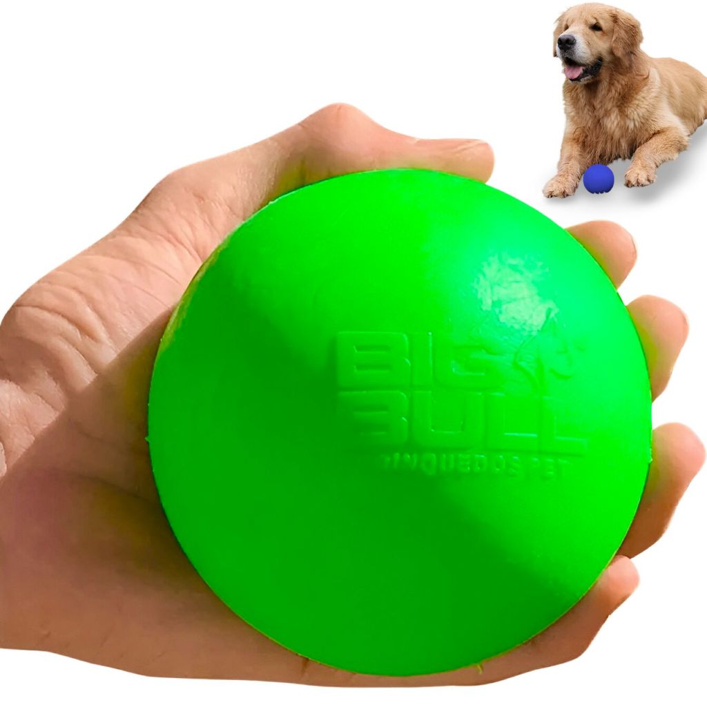 Bola para Pitbull: Onde Comprar | BuscaProdutos