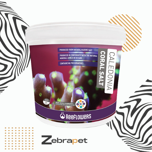 ReeFlowers Caledonia Coral Salt 6.5kg  - Sal Aquário Marinho