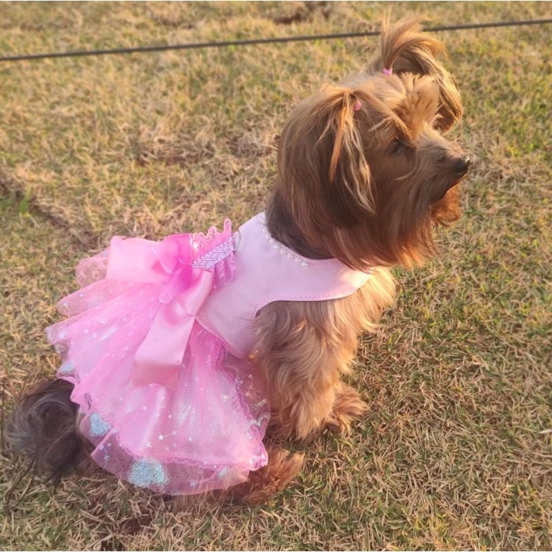 Vestido Pet Festa Luxo - Roupa de Cachorro para Casamento
