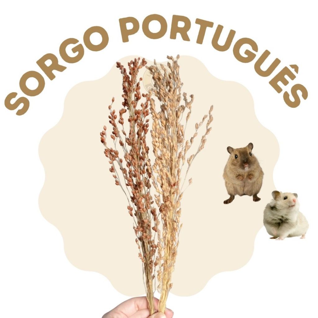 Sorgo Português para roedores e aves em Oferta na Shopee