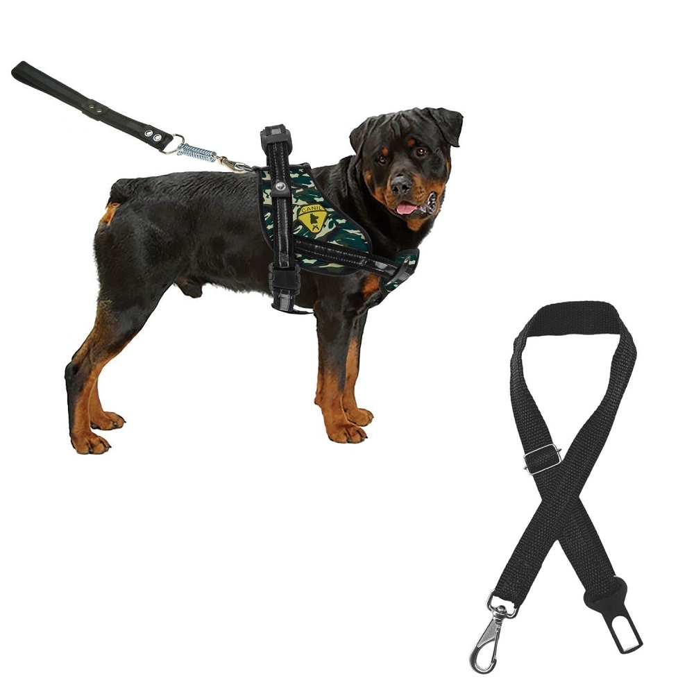 Coleira Peitoral Bulls + Cinto De Seguranca Para Carro Husky Dobermann