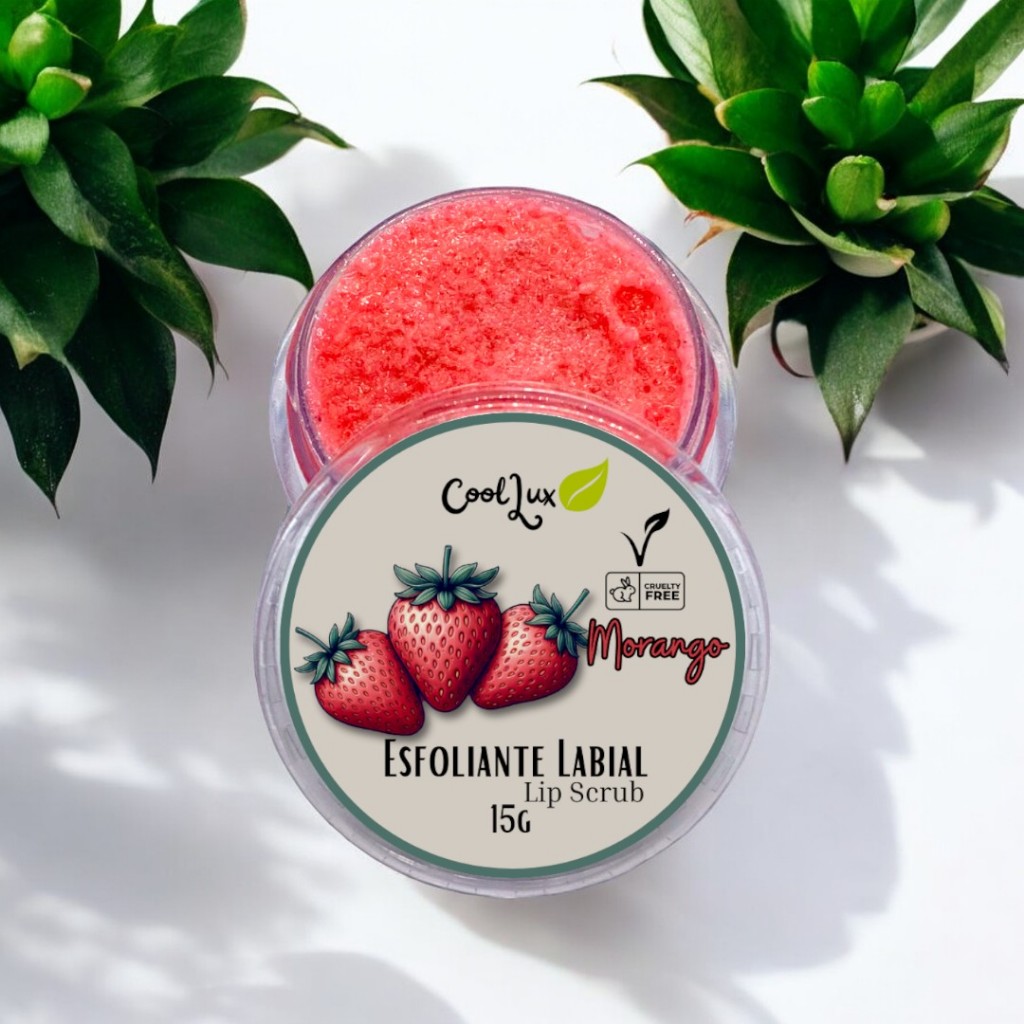 Esfoliante Labial 15g Lip Scrub Morango  Maracujá  Menta Lip Scrub Natural Vegano Artesanal