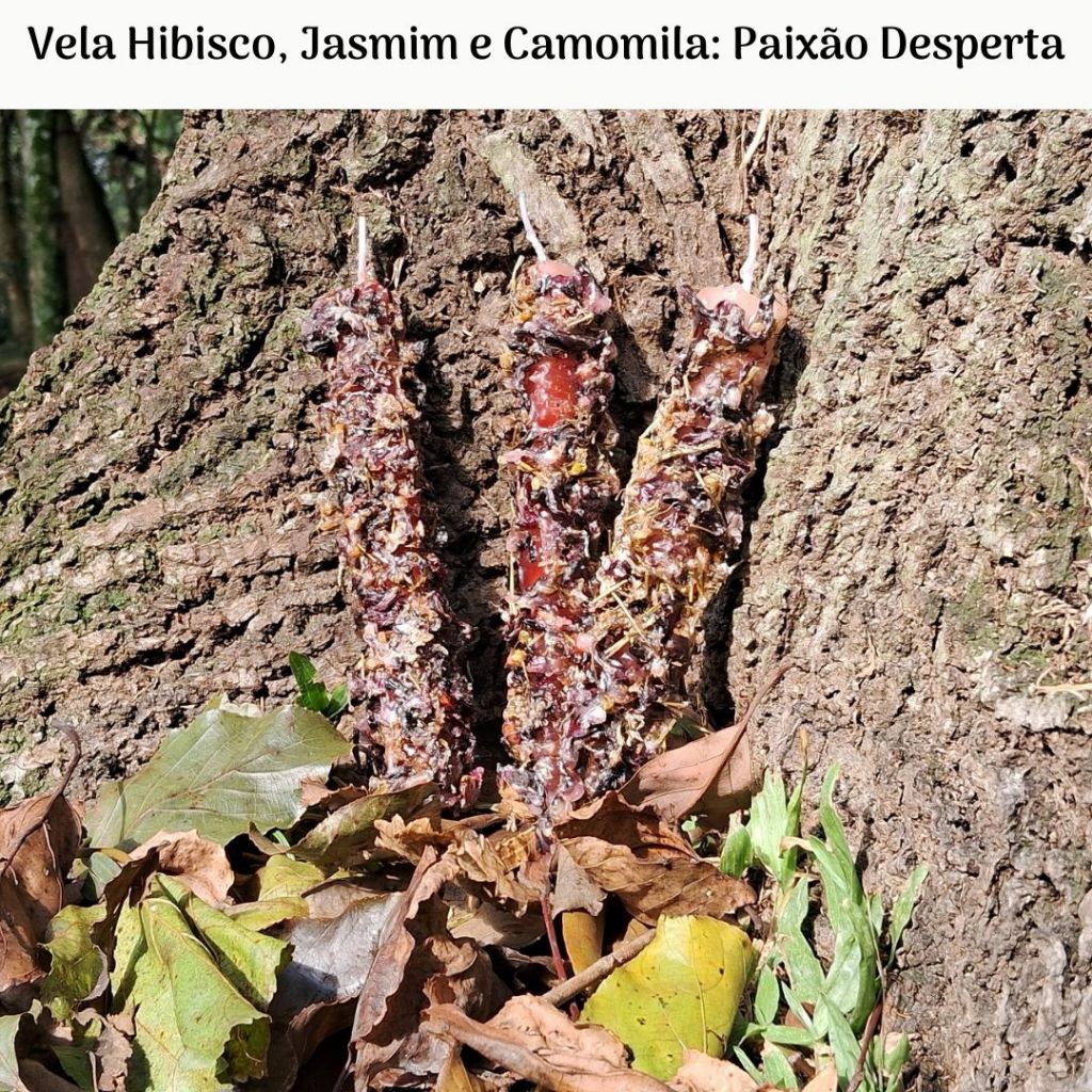 Vela de Hibisco, Jasmim e Camomila: Desperte a Paixão e o Romance!  | Queima ritualistica 1h30