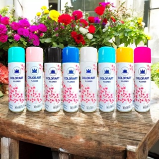Tinta Spray Para Flores Plantas Natural Artificial Colorart 300ml Cores em Oferta na Shopee