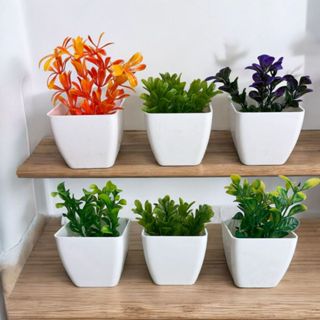 Kit Completo com 3 Arranjos de Suculentas - Decoração Elegante para Banheiro, Sala e Cozinha em Oferta na Shopee