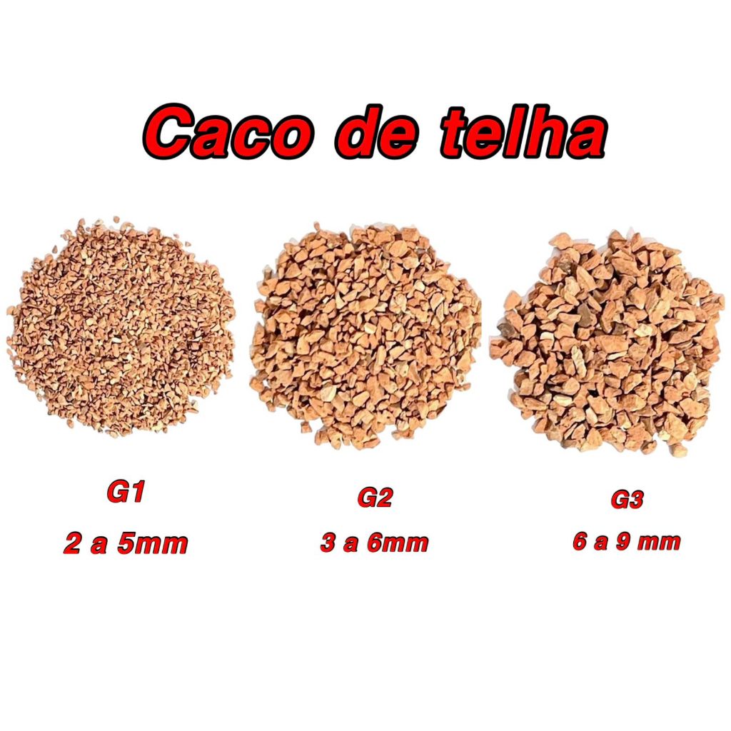 Bonsai Rosa Deserto: Onde Comprar | BuscaProdutos