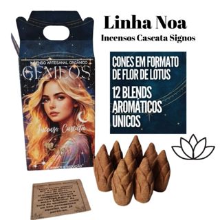Incenso Cascata Investida Cone Noa 10 Unidades em Oferta na Shopee