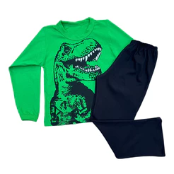 Conjunto Pijama manga comprida infantil menino dinossauro