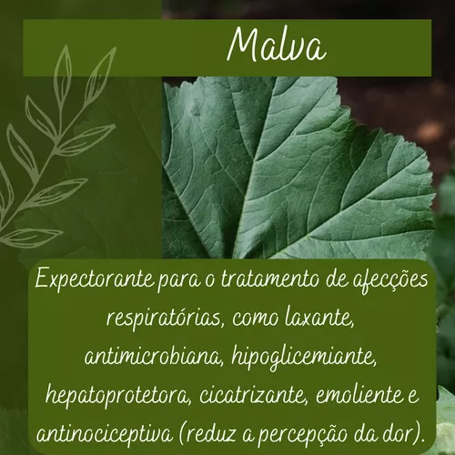 Tintura de Malva 100 ml (Tintura Mãe)