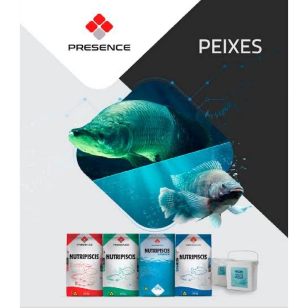 1KG Ração 4mm Para Peixes Engoda Tilápia Pacu Tambaqui Carpas Ornamentais Alevino Grão, 36% de Proteína 1kg