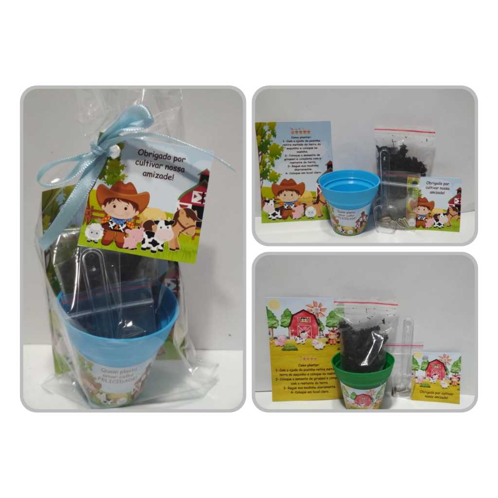 Kit Plantio Lembrancinha: Onde Comprar | BuscaProdutos