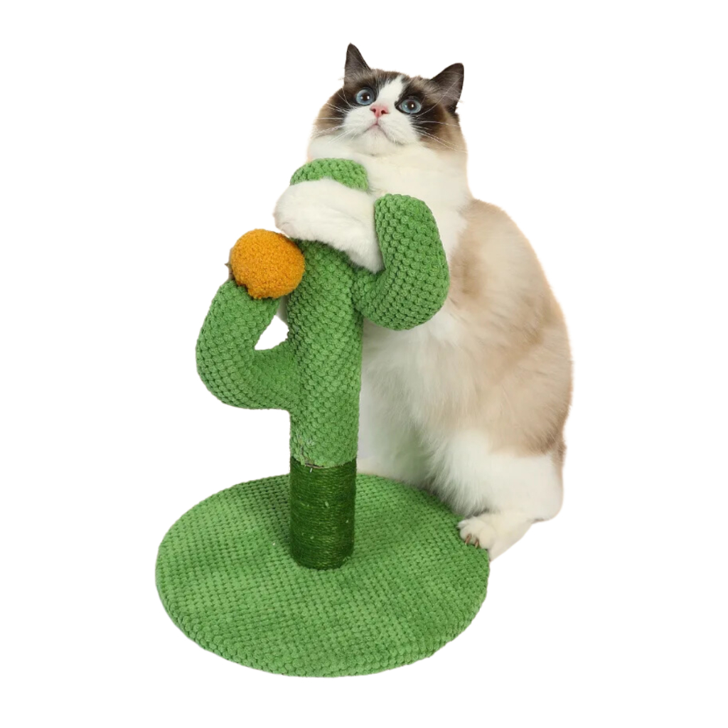 Cacto Arranhador Sisal para Gatos 3 Tamanhos - Divertido, Moderno e Resistente