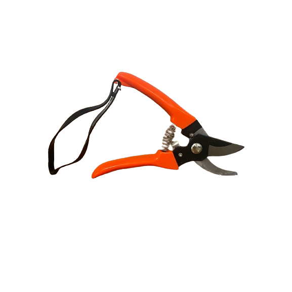 Tesoura para Poda 6,5 Polegadas WJ 997