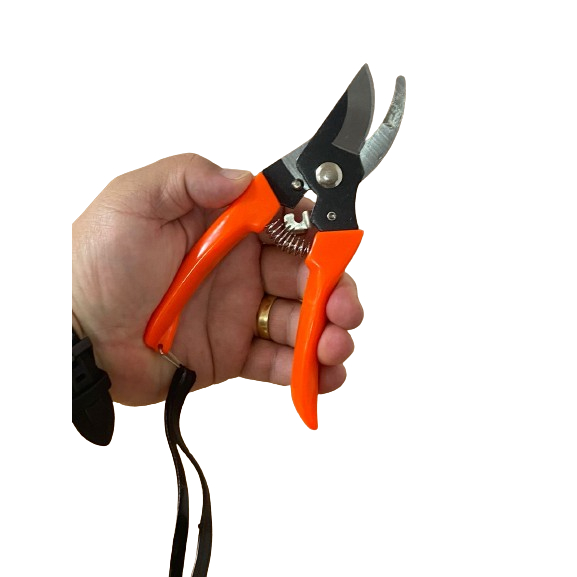 Tesoura para Poda 6,5 Polegadas WJ 997