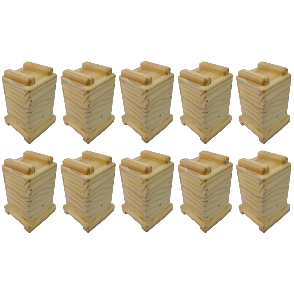 10 Caixa Para Abelhas Jataí 12x12 com encaixe acetato 1 Melgueira