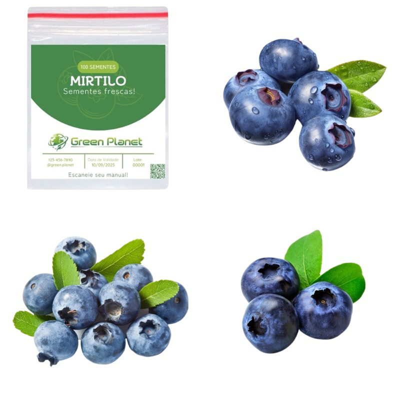 100 Sementes de Mirtilo (Blueberry) - Faça sua Horta!