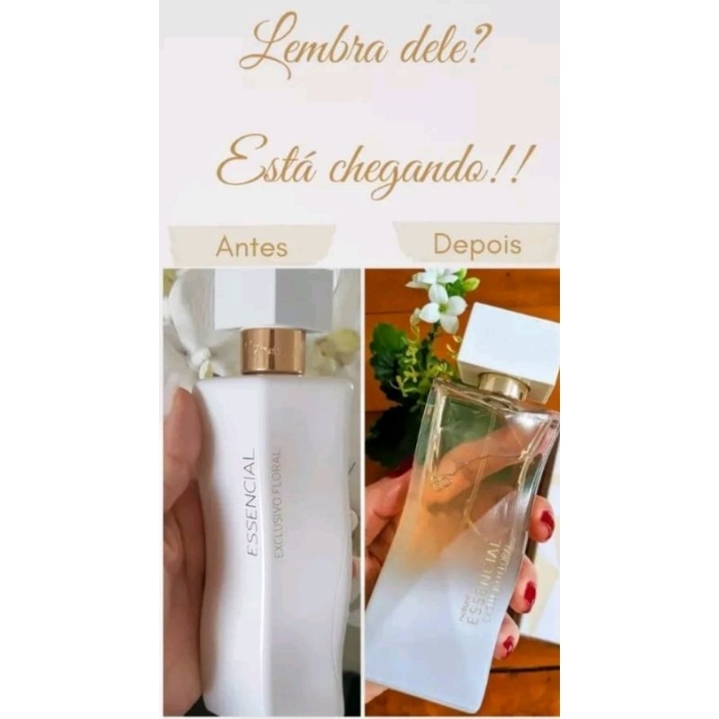 Essencial Exclusivo da Natura: Onde Comprar | BuscaProdutos