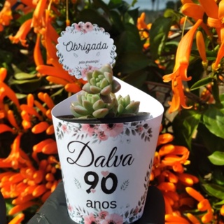 Rótulos personalizados para suculentas -kit 50 unidades-Aniversário 90 anos- em Oferta na Shopee