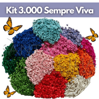Kit Atacado Até 3.000 Florzinha Sempre Viva Natural Desidratada Decoração Festa Arranjo Ca...