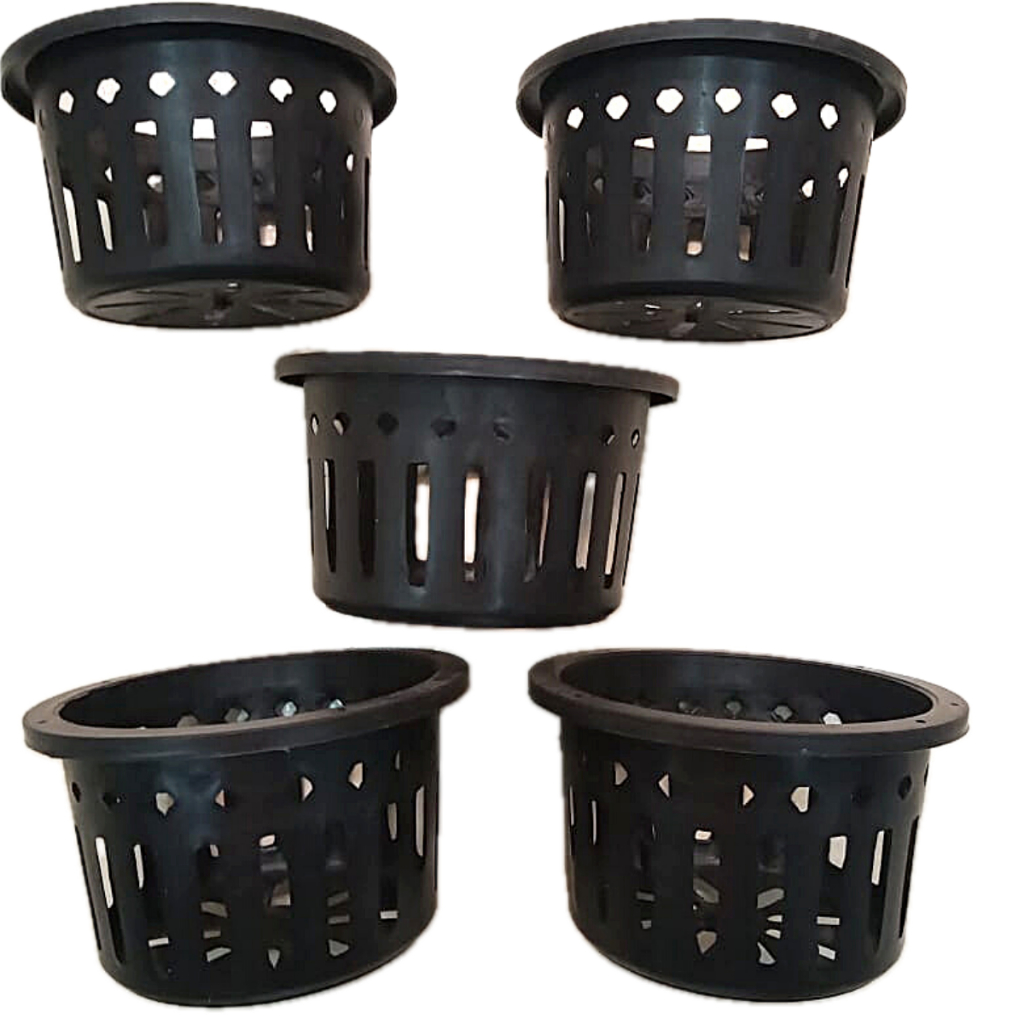 Kit com 6 Vasos Cesta Vazado Preto Grande para Orquídeas Vanda ou Stanhopea