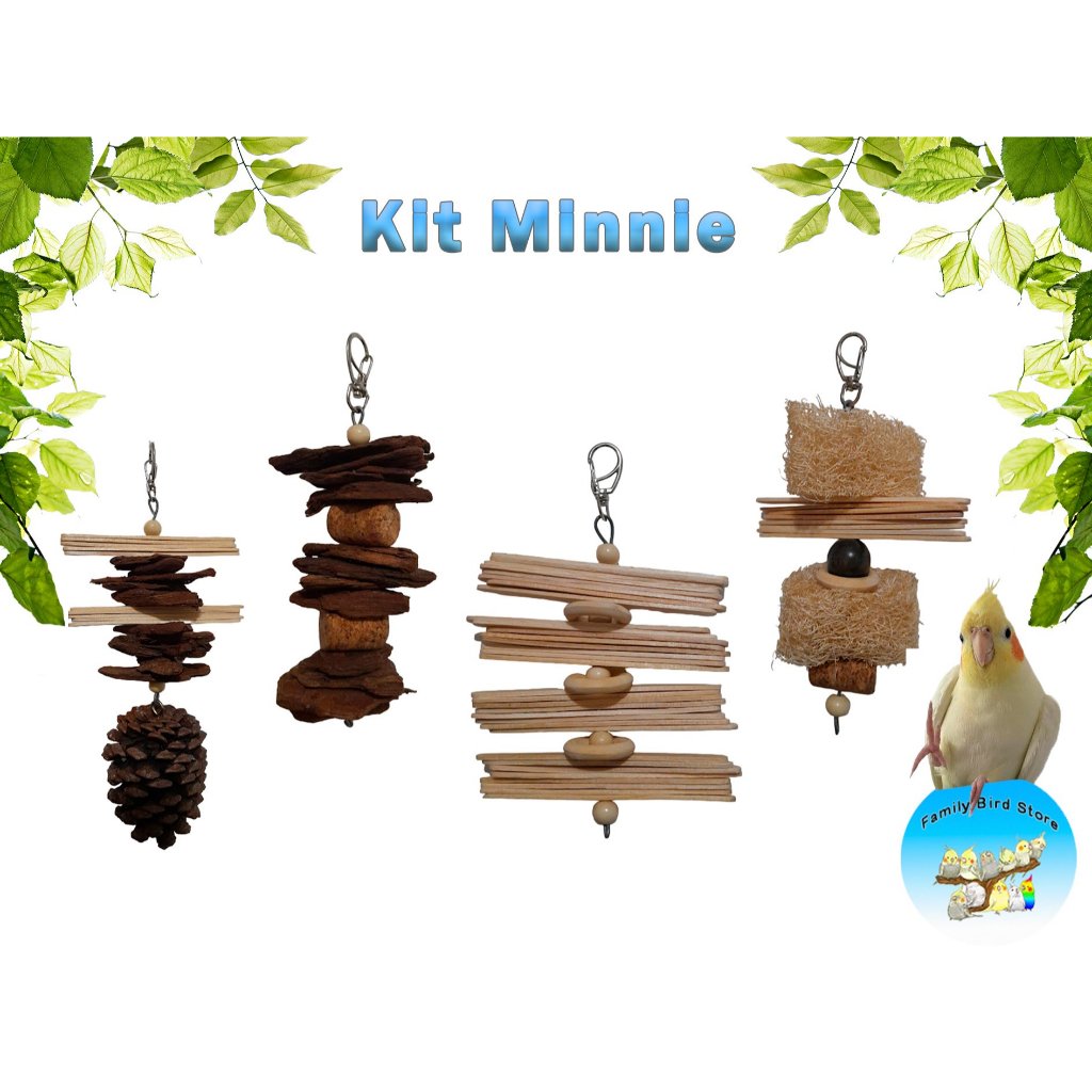 Brinquedo Para Calopistas - Kit Minnie 4 Unid.