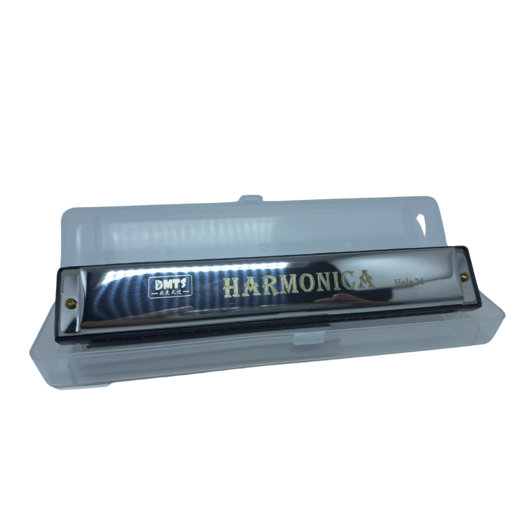 Gaita De Boca 24 Vozes Musico Iniciante Profissional Cromada